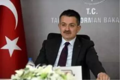 Son dakika haber! Bakan Pakdemirli, orman teşkilatına seslendi: 'Hava gücü filomuzu daha da güçlendiriyoruz' Son dakika haber! Bakan Pakdemirli, orman teşkilatına seslendi: 'Hava gücü filomuzu daha da güçlendiriyoruz'
