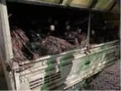 Bakırköy'de işçi gibi giyinip 2 bin 200 metre kabloyu böyle çaldılar Bakırköy'de işçi gibi giyinip 2 bin 200 metre kabloyu böyle çaldılar