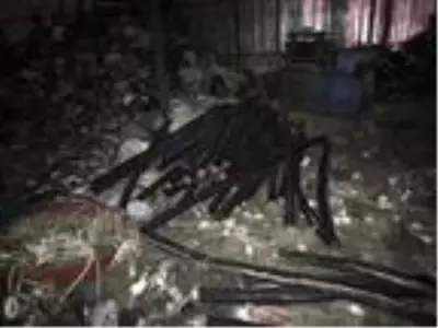 Bakırköy'de işçi gibi giyinip 2 bin 200 metre kabloyu böyle çaldılar Bakırköy'de işçi gibi giyinip 2 bin 200 metre kabloyu böyle çaldılar