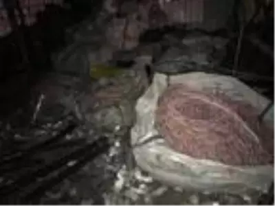 Bakırköy'de işçi gibi giyinip 2 bin 200 metre kabloyu böyle çaldılar Bakırköy'de işçi gibi giyinip 2 bin 200 metre kabloyu böyle çaldılar