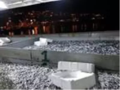 Balıkçılar yüzlerce kasa hamsiyle döndü Balıkçılar yüzlerce kasa hamsiyle döndü