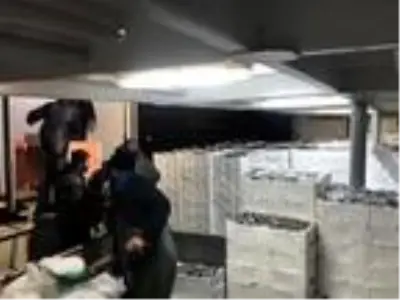 Balıkçılar yüzlerce kasa hamsiyle döndü Balıkçılar yüzlerce kasa hamsiyle döndü