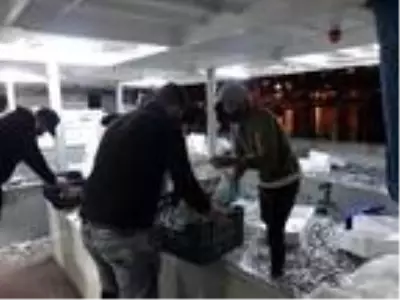 Balıkçılar yüzlerce kasa hamsiyle döndü Balıkçılar yüzlerce kasa hamsiyle döndü