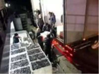 Balıkçılar yüzlerce kasa hamsiyle döndü Balıkçılar yüzlerce kasa hamsiyle döndü