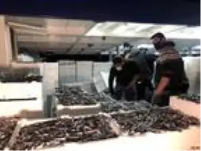 Balıkçılar yüzlerce kasa hamsiyle döndü Balıkçılar yüzlerce kasa hamsiyle döndü