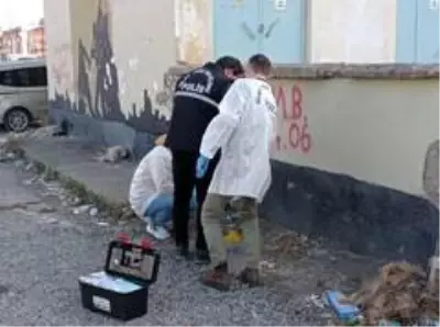 Bebeği ölüme terk eden kadının 2 çocuk annesi ve üniversite mezunu olduğu ortaya çıktı Bebeği ölüme terk eden kadının 2 çocuk annesi ve üniversite mezunu olduğu ortaya çıktı