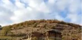 Akarsu: Son dakika haberi | Bingöl'de 'külahlı taşlar'ın turizme kazandırılması isteniyor Akarsu: Son dakika haberi | Bingöl'de 'külahlı taşlar'ın turizme kazandırılması isteniyor