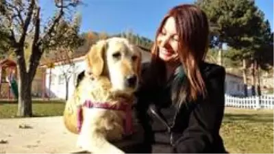 Bir bacağı kesilen köpek, öğrencilerin sevgisi ile hayata tutundu Bir bacağı kesilen köpek, öğrencilerin sevgisi ile hayata tutundu