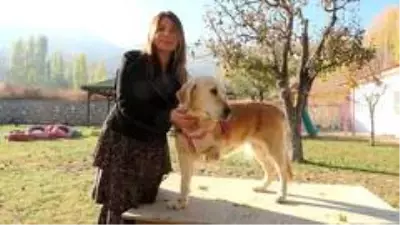 Bir bacağı kesilen köpek, öğrencilerin sevgisi ile hayata tutundu Bir bacağı kesilen köpek, öğrencilerin sevgisi ile hayata tutundu