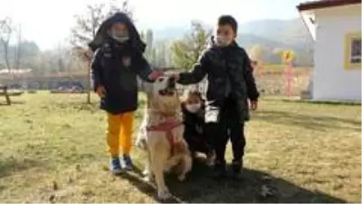 Bir bacağı kesilen köpek, öğrencilerin sevgisi ile hayata tutundu Bir bacağı kesilen köpek, öğrencilerin sevgisi ile hayata tutundu