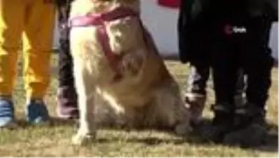 Bir bacağı kesilen köpek, öğrencilerin sevgisi ile hayata tutundu Bir bacağı kesilen köpek, öğrencilerin sevgisi ile hayata tutundu