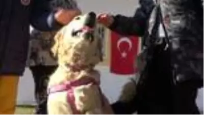 Bir bacağı kesilen köpek, öğrencilerin sevgisi ile hayata tutundu Bir bacağı kesilen köpek, öğrencilerin sevgisi ile hayata tutundu