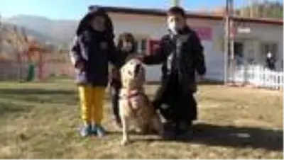 Bir bacağı kesilen köpek, öğrencilerin sevgisi ile hayata tutundu Bir bacağı kesilen köpek, öğrencilerin sevgisi ile hayata tutundu