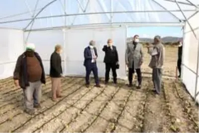 Büyükşehir destekli seralarda üretim devam ediyor Büyükşehir destekli seralarda üretim devam ediyor