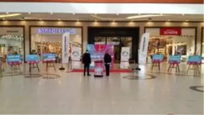 Ceylan Karavil Park AVM'de kadına yönelik şiddete karşı sergi Ceylan Karavil Park AVM'de kadına yönelik şiddete karşı sergi