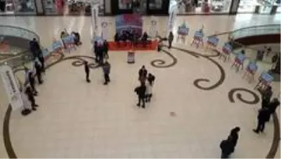 Ceylan Karavil Park AVM'de kadına yönelik şiddete karşı sergi Ceylan Karavil Park AVM'de kadına yönelik şiddete karşı sergi