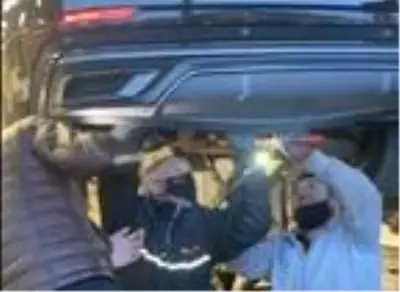 Cipi liftle kaldırarak, tampona giren kediyi çıkardılar Cipi liftle kaldırarak, tampona giren kediyi çıkardılar