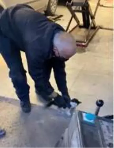Cipi liftle kaldırarak, tampona giren kediyi çıkardılar Cipi liftle kaldırarak, tampona giren kediyi çıkardılar