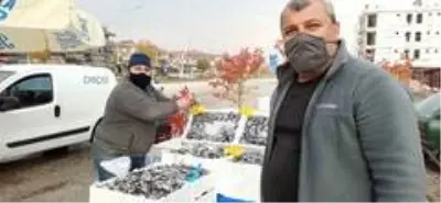 Düzceli balıkçı yaptığı kampanya ile hamsiyi 5 TL'den satışa sundu Düzceli balıkçı yaptığı kampanya ile hamsiyi 5 TL'den satışa sundu