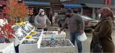 Düzceli balıkçı yaptığı kampanya ile hamsiyi 5 TL'den satışa sundu Düzceli balıkçı yaptığı kampanya ile hamsiyi 5 TL'den satışa sundu