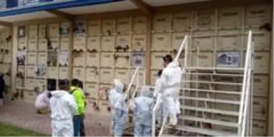 Ekvador'da koronavirüsten ölenler kimlik tespiti için mezardan çıkarılıyor Ekvador'da koronavirüsten ölenler kimlik tespiti için mezardan çıkarılıyor