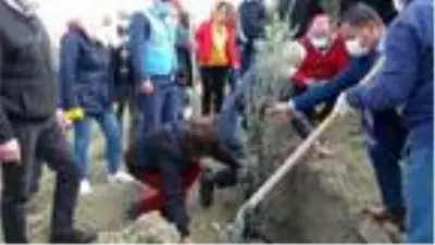 Hatay'da öldürülen kadınlar için fidan dikildi Hatay'da öldürülen kadınlar için fidan dikildi