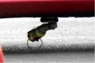 Eşinin aracına bomba düzeneği kuran kocanın cezasını Yargıtay onadı Eşinin aracına bomba düzeneği kuran kocanın cezasını Yargıtay onadı