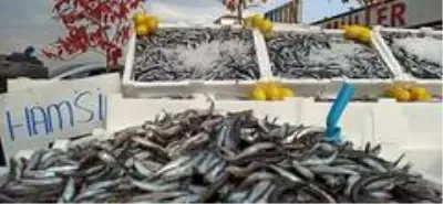 Düzceli balıkçı yaptığı kampanya ile hamsiyi 5 TL'den satışa sundu Düzceli balıkçı yaptığı kampanya ile hamsiyi 5 TL'den satışa sundu