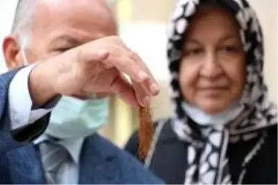 Evlilik cüzdanında sakladığı mısır püskülünü 46 yıl sonra çıkardı Evlilik cüzdanında sakladığı mısır püskülünü 46 yıl sonra çıkardı