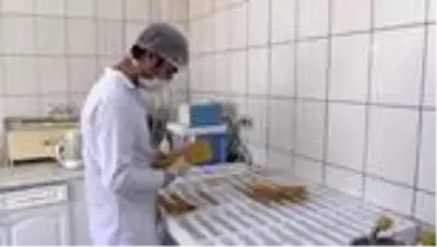 GAZİANTEP - Güneydoğu'dan Kovid-19 sürecinde yarım milyar dolarlık makarna ihracatı GAZİANTEP - Güneydoğu'dan Kovid-19 sürecinde yarım milyar dolarlık makarna ihracatı