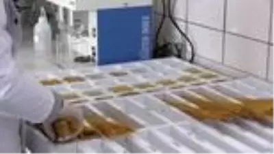 GAZİANTEP - Güneydoğu'dan Kovid-19 sürecinde yarım milyar dolarlık makarna ihracatı GAZİANTEP - Güneydoğu'dan Kovid-19 sürecinde yarım milyar dolarlık makarna ihracatı