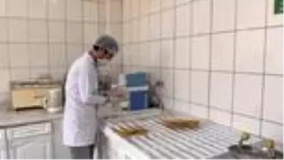 GAZİANTEP - Güneydoğu'dan Kovid-19 sürecinde yarım milyar dolarlık makarna ihracatı GAZİANTEP - Güneydoğu'dan Kovid-19 sürecinde yarım milyar dolarlık makarna ihracatı