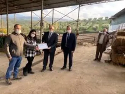 Gemlikte bir ilk oldu Gemlikte bir ilk oldu