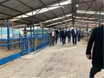 Gemlikte bir ilk oldu Gemlikte bir ilk oldu