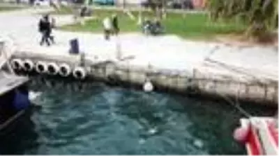 (Havadan fotoğraflarla) İstanbul Boğazı'nı denizanaları bastı (Havadan fotoğraflarla) İstanbul Boğazı'nı denizanaları bastı