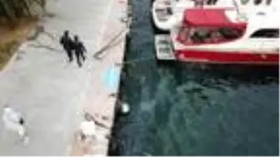 (Havadan fotoğraflarla) İstanbul Boğazı'nı denizanaları bastı (Havadan fotoğraflarla) İstanbul Boğazı'nı denizanaları bastı