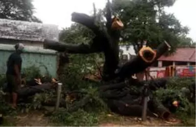 Hindistan'da Nivar Fırtınası alarmı Hindistan'da Nivar Fırtınası alarmı