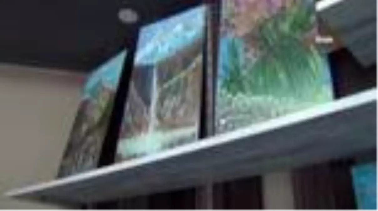 İlkokul mezunu yaptığı resimlerle profesyonel ressamlara taş çıkarıyor