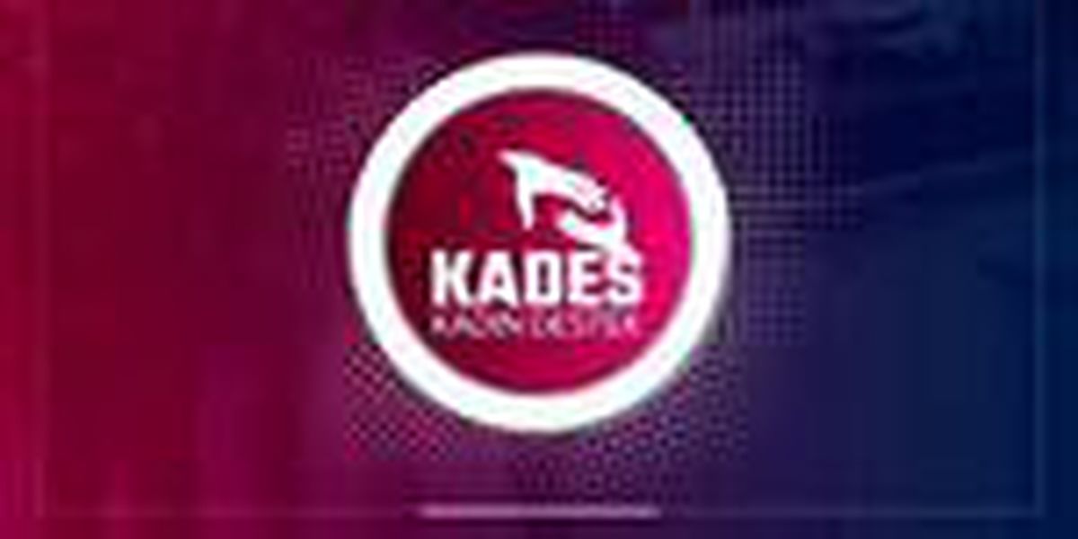 KADES uygulaması nedir? KADES açılımı ne demek? Uygulama nasıl indirilir?
