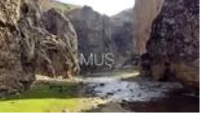 Kadına yönelik şiddet ile mücadele çalışmaları Kadına yönelik şiddet ile mücadele çalışmaları
