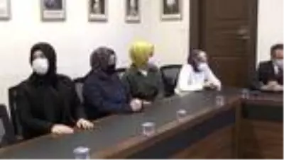 Kadına Yönelik Şiddete Karşı Uluslararası Mücadele Günü Kadına Yönelik Şiddete Karşı Uluslararası Mücadele Günü