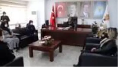 Kadına Yönelik Şiddete Karşı Uluslararası Mücadele Günü Kadına Yönelik Şiddete Karşı Uluslararası Mücadele Günü
