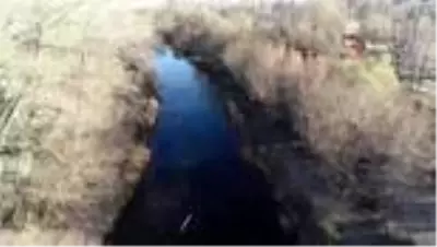 Kangallara 'kurt kanı' maması Kangallara 'kurt kanı' maması