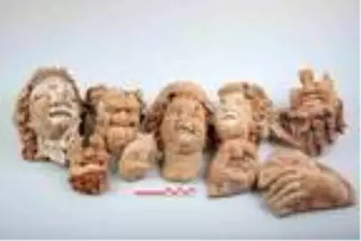 Karadeniz'in ilk bilimsel kazı alanı tarihe ışık tutuyor Karadeniz'in ilk bilimsel kazı alanı tarihe ışık tutuyor