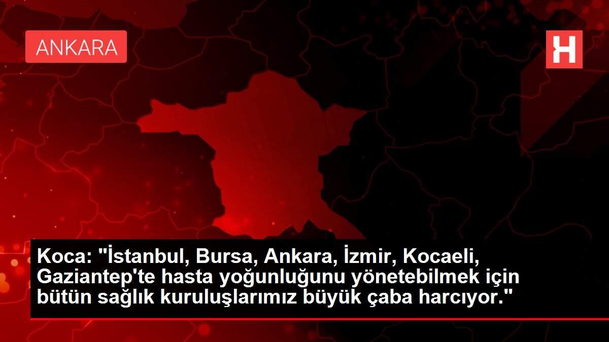 Koca: Koca: