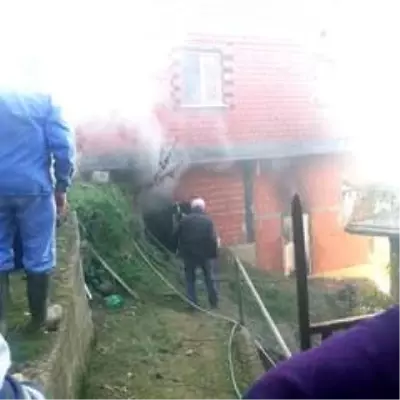 Kömürlük yangını korkuttu Kömürlük yangını korkuttu