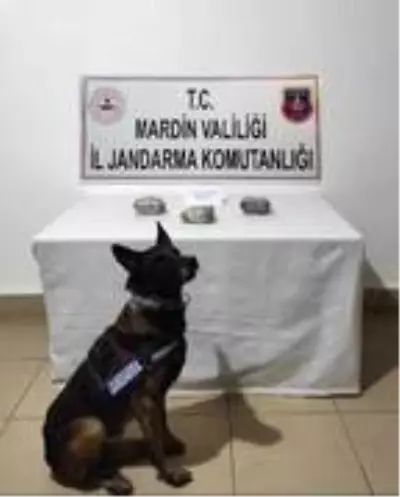 Mardin'de araçta ele geçirilen uyuşturucuya 3 gözaltı Mardin'de araçta ele geçirilen uyuşturucuya 3 gözaltı