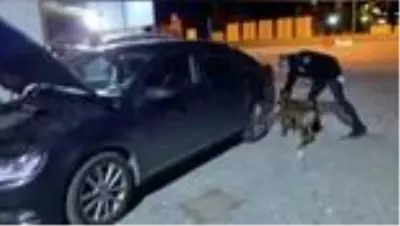 Son dakika haberi... Maske içerisine gizlenmiş uyuşturucu ele geçirildi Son dakika haberi... Maske içerisine gizlenmiş uyuşturucu ele geçirildi