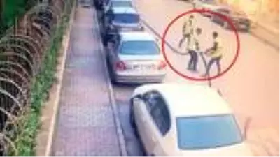 Milyonluk kabloyu odun doğrar gibi doğrayıp kamyonete yüklediler! O anlar kamerada Milyonluk kabloyu odun doğrar gibi doğrayıp kamyonete yüklediler! O anlar kamerada