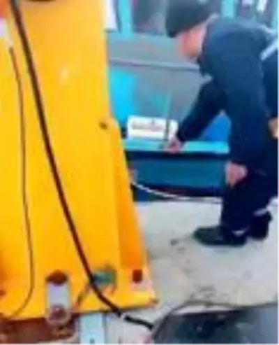 Nesli tükenmekte olan su samuru böyle görüntülendi Nesli tükenmekte olan su samuru böyle görüntülendi